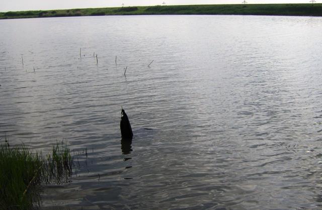 De pe ... balti ... 1 - im000446.JPG